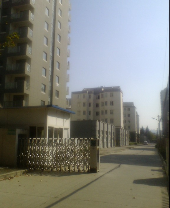A.jpg