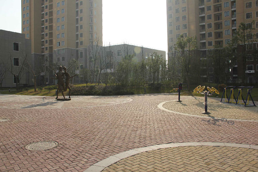 阳琴岛2.jpg