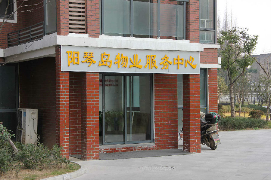 阳琴岛4.jpg
