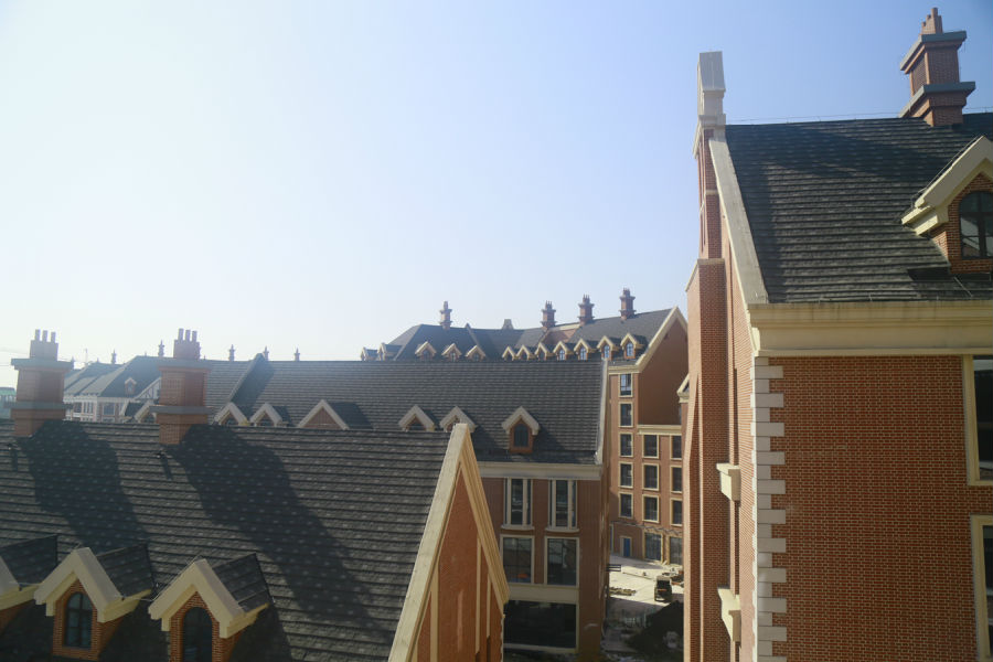 _MG_9455.JPG